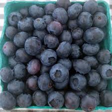 Frozen Blueberries